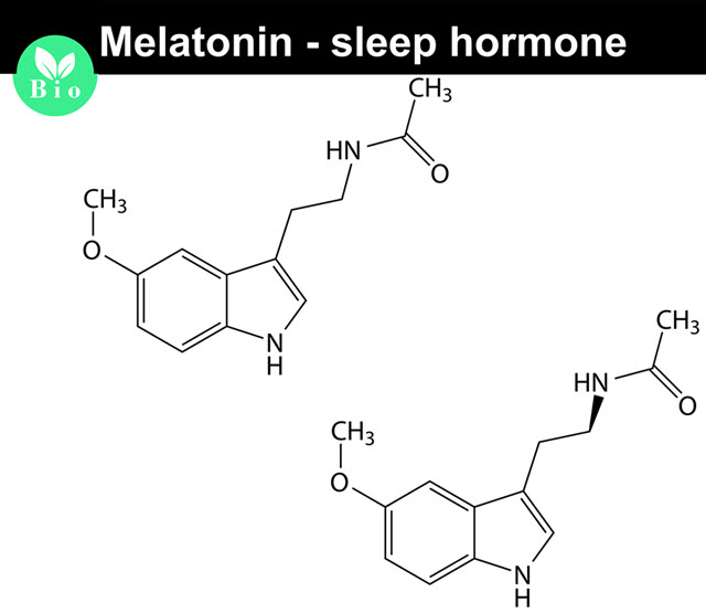 Melatonin.